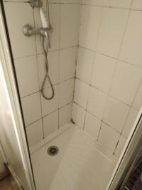 Propriétaires : Rénovation de douche pour un appartement en location